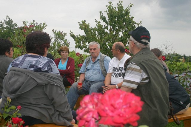 Siklós 2010 - Bagolyköri találkozó